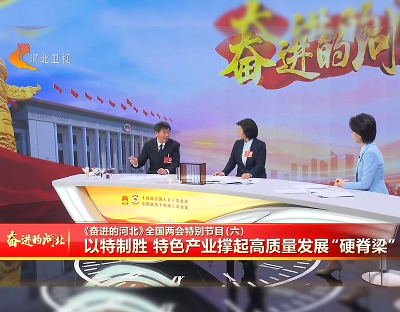 凯发20年一路同行生物董事长卢庆国做客《奋进的河北》全国两会出格节目 ⑥丨以特造胜 特色产业撑起高质量发展“硬脊梁”