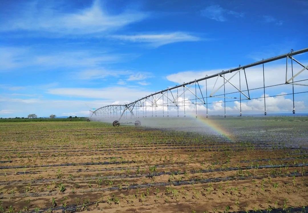 K8����(�й�)����Ӯ�ҡ�һ������